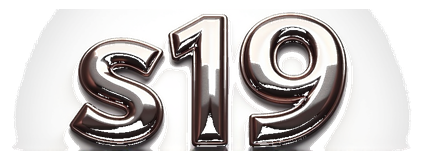 s19 logo